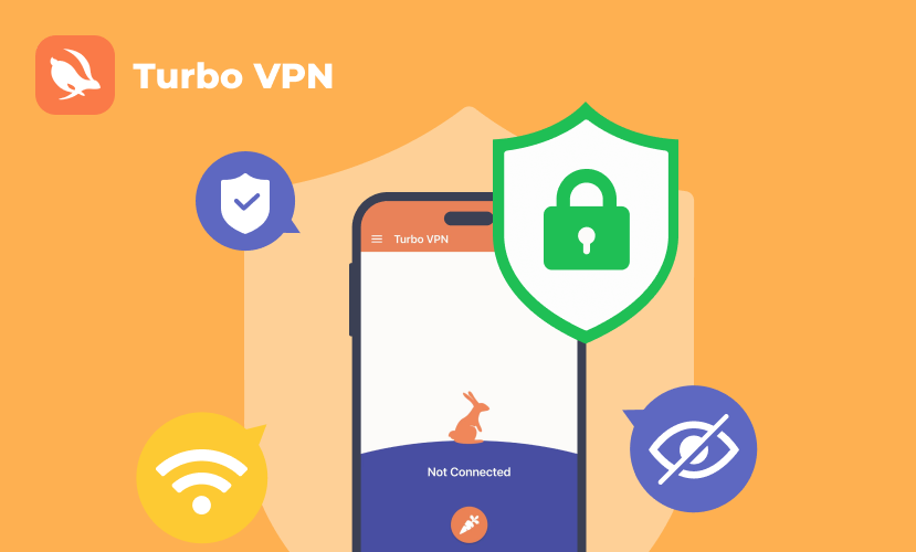 Mobile Device with VPN Interface